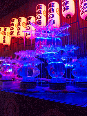 e0312121_11355830.gif