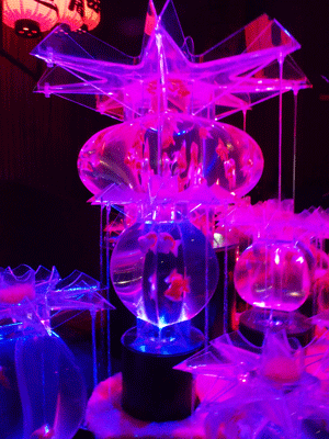 e0312121_11362955.gif