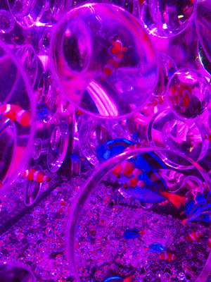 e0312121_113697.gif