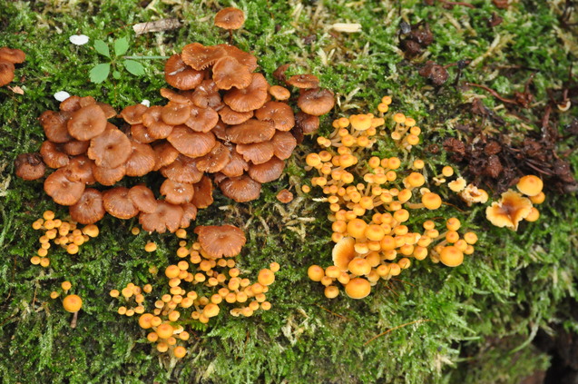 a0248728_18164360.jpg