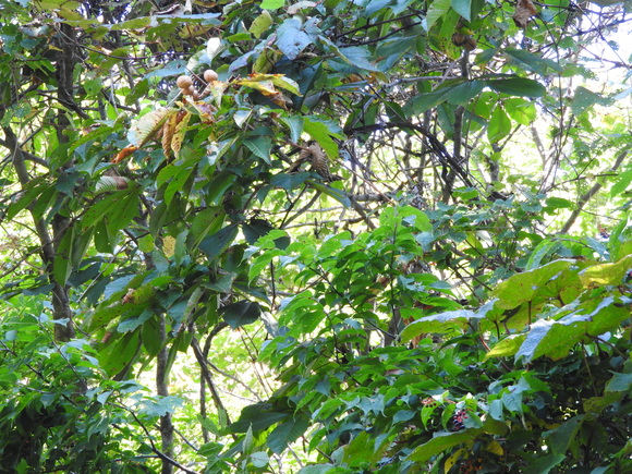 f0118332_21343283.jpg