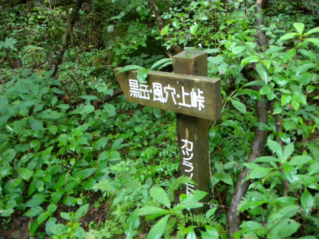 e0272335_4255596.jpg