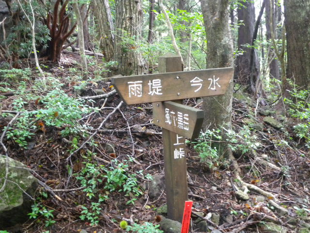 e0272335_4285779.jpg