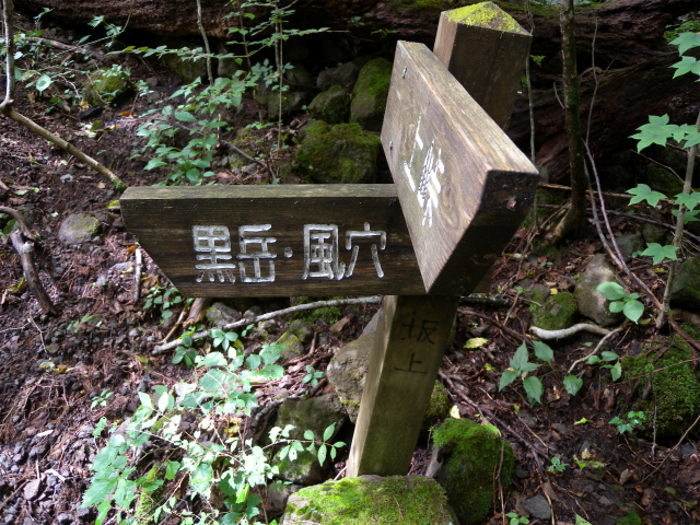 e0272335_4454975.jpg
