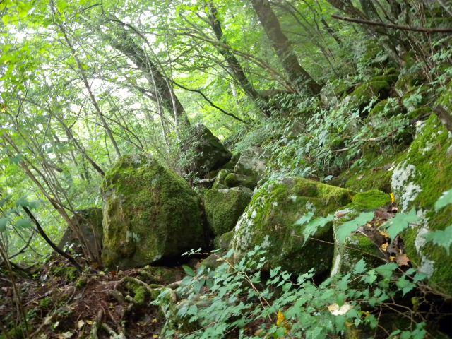 e0272335_4482730.jpg