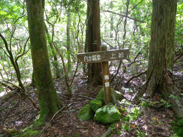 e0272335_4531725.jpg