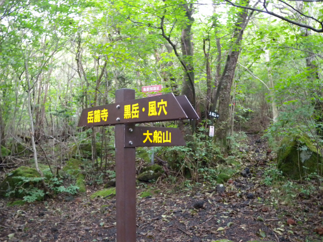 e0272335_512320.jpg