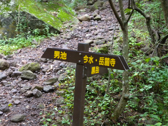 e0272335_5311992.jpg