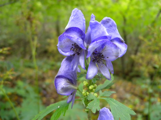 e0272335_5345790.jpg
