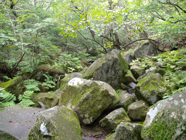 e0272335_5433960.jpg
