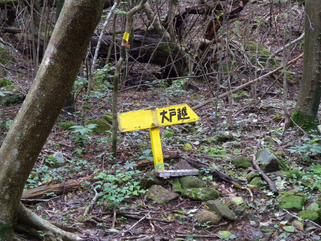 e0272335_546571.jpg