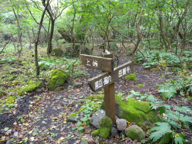 e0272335_56506.jpg