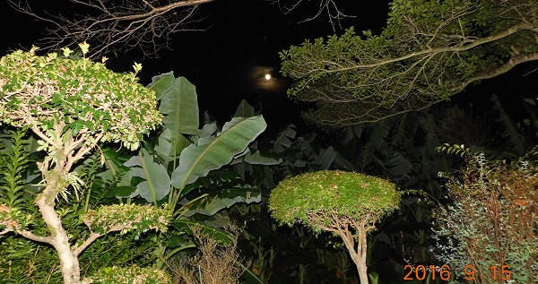 f0042737_14254770.jpg