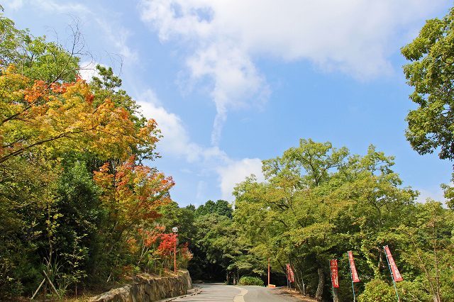a0242438_18334664.jpg