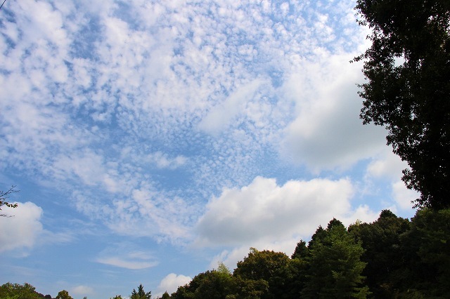 a0242438_18334691.jpg