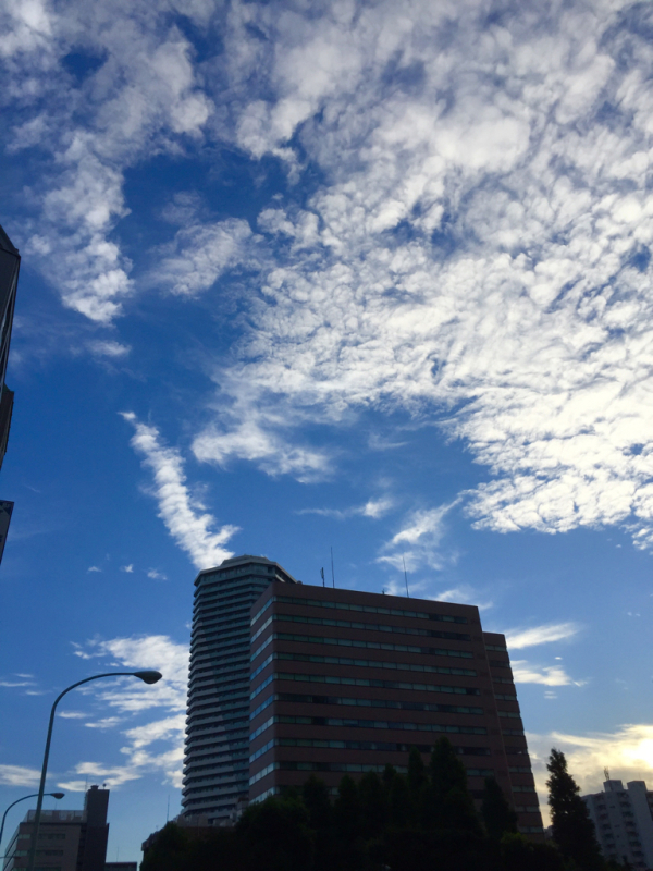 b0367250_00543888.jpg