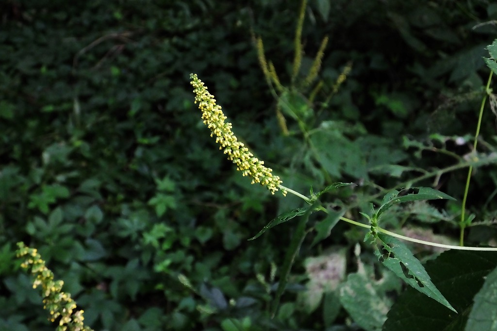 b0236251_10121020.jpg