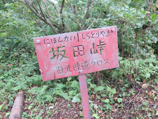 c0116856_20464561.jpg