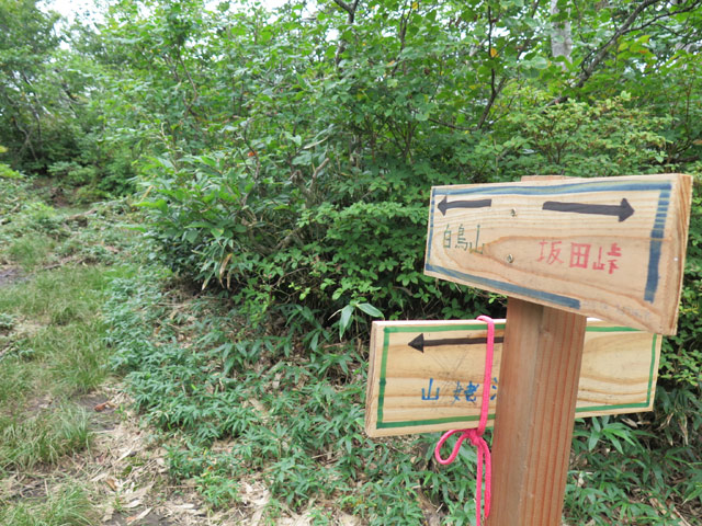 c0116856_20501358.jpg