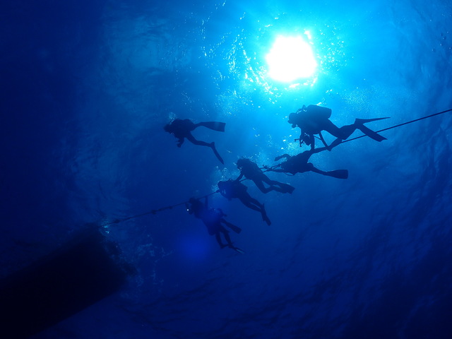 b0062363_196325.jpg