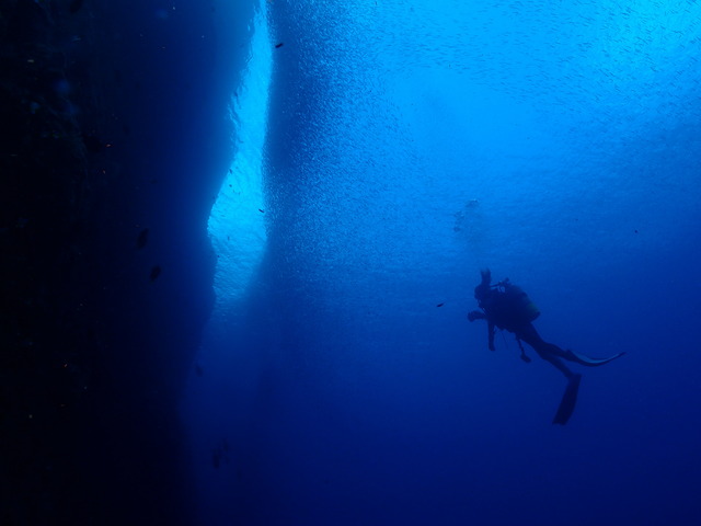 b0062363_1974485.jpg