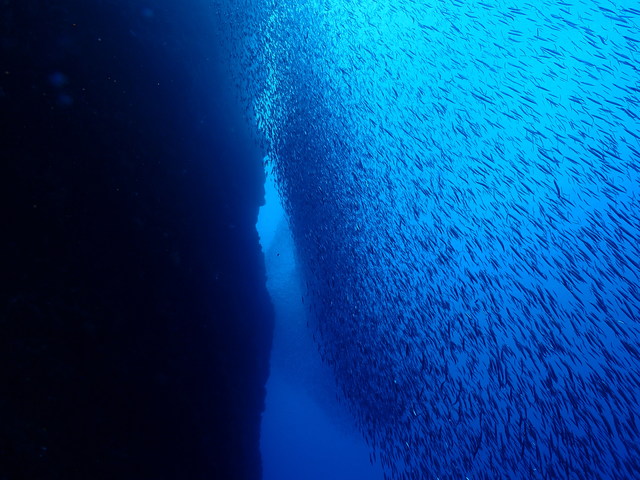 b0062363_1984035.jpg