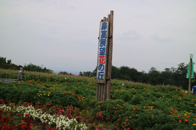 f0345263_21452930.jpg