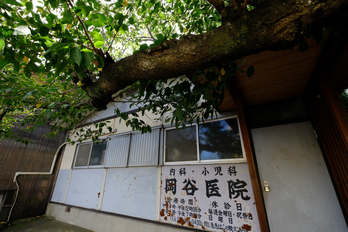 c0084666_21510899.jpg