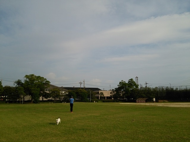 f0100871_15253797.jpg