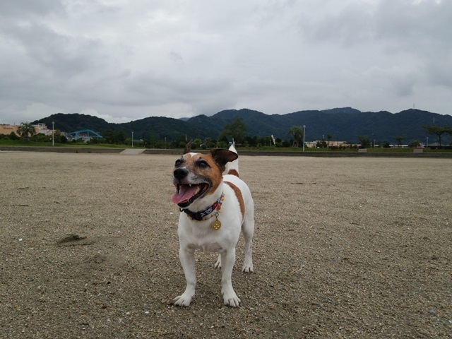 f0100871_21235045.jpg
