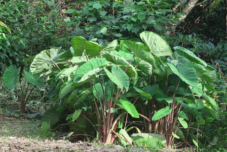 e0292172_20565638.jpg