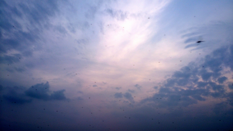 d0132880_22344786.jpg