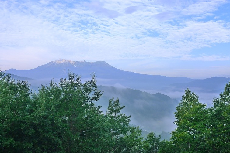 a0130586_928036.jpg