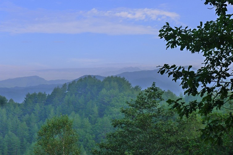 a0130586_9305547.jpg