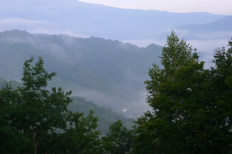 a0130586_9312717.jpg