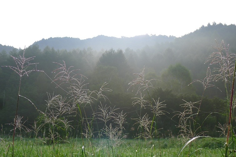 a0130586_943927.jpg