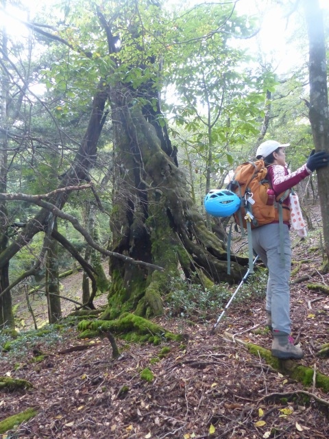 f0357487_22594169.jpg