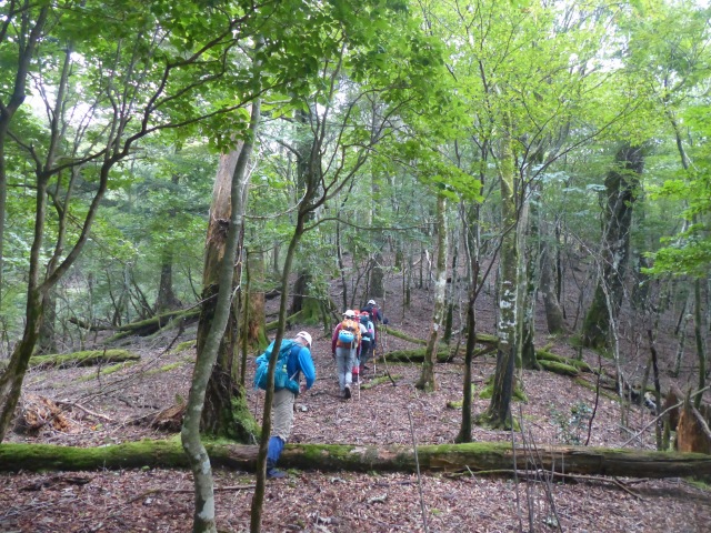 f0357487_2311050.jpg