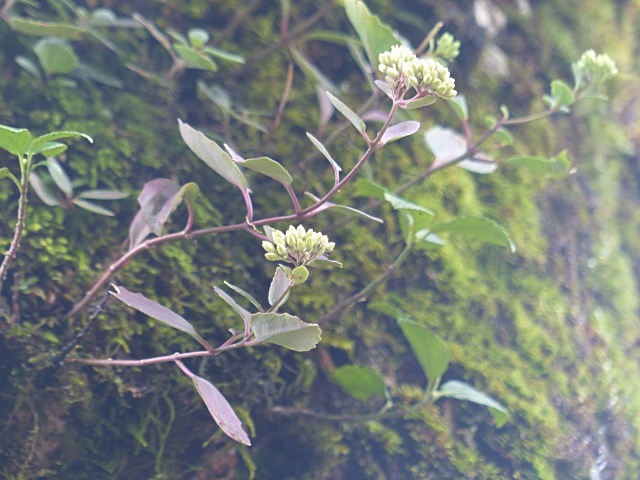 f0357487_23121211.jpg
