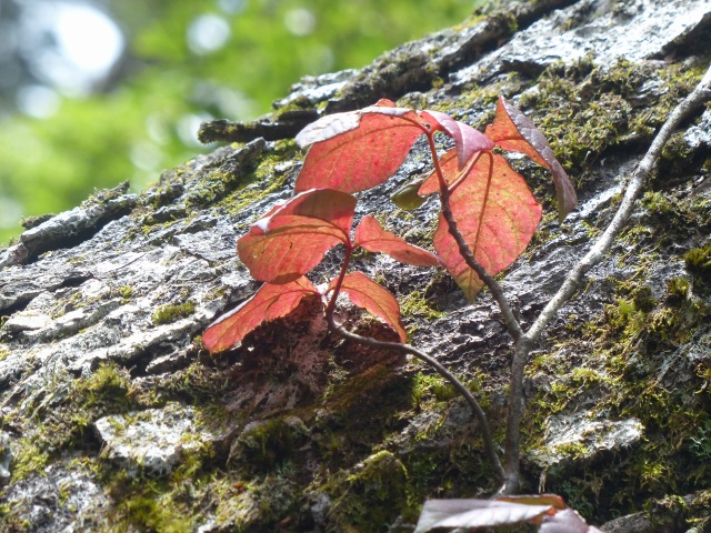 f0357487_23222059.jpg