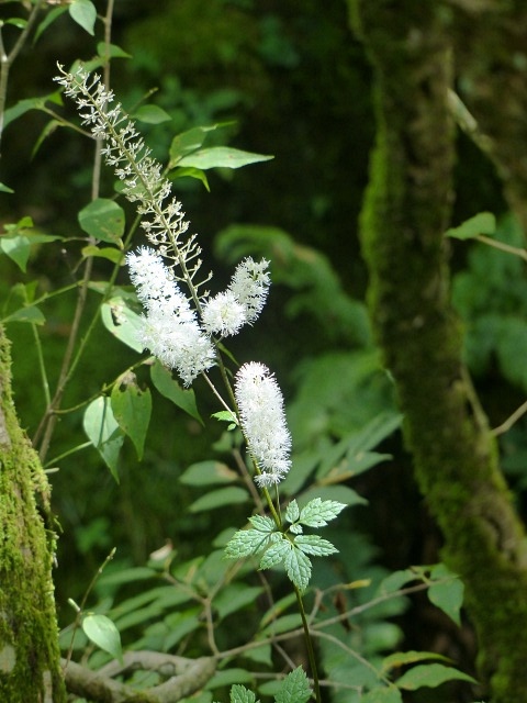 f0357487_23265872.jpg