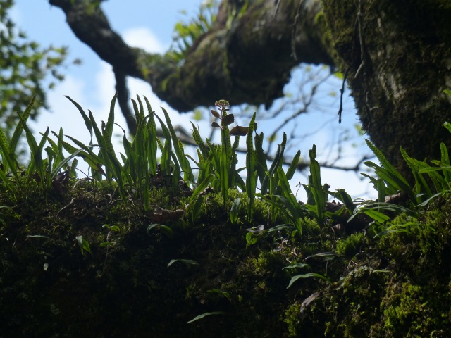 f0357487_23303718.jpg