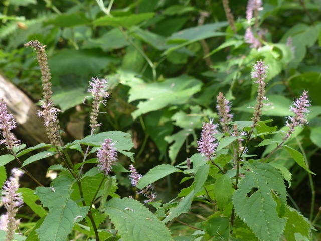 f0357487_23321136.jpg