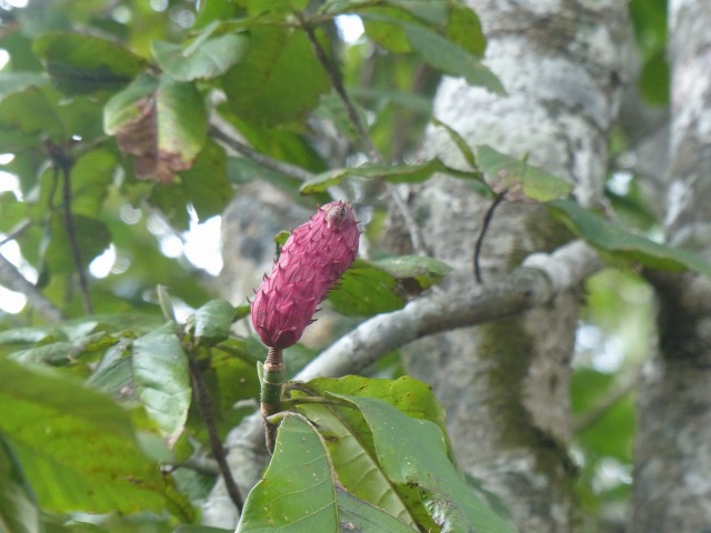f0357487_2372795.jpg