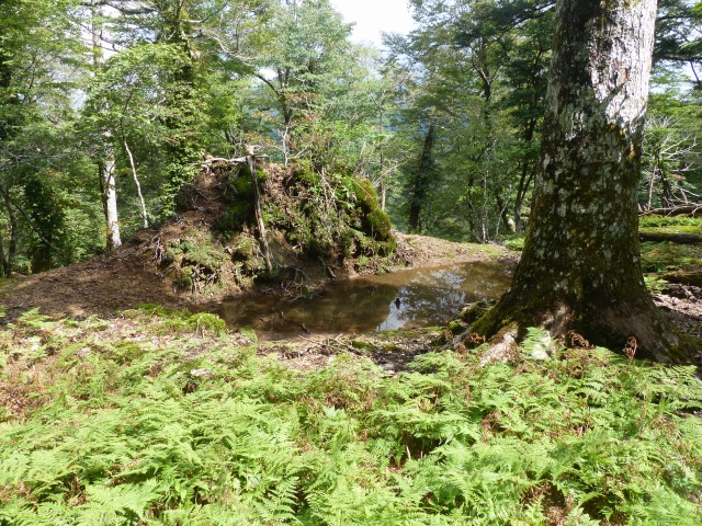 f0357487_2391763.jpg