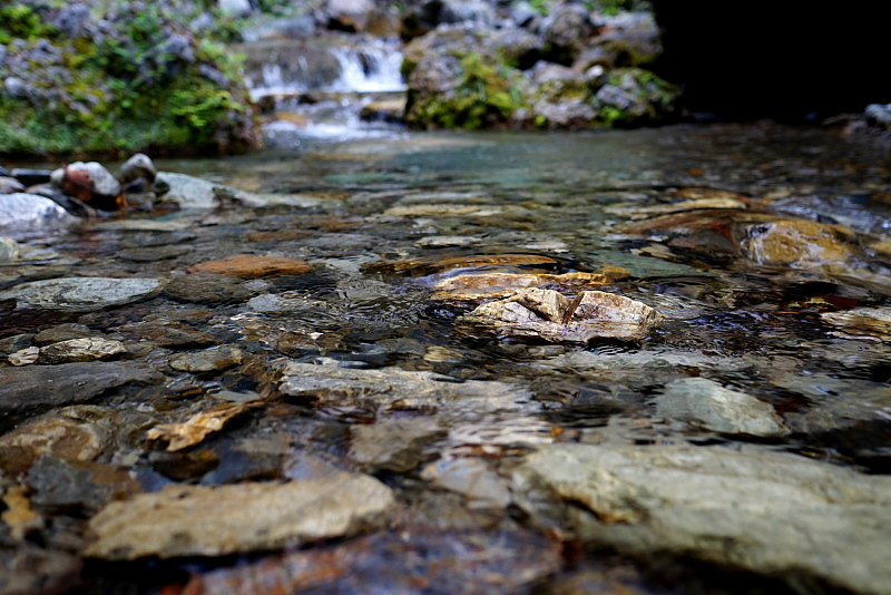 c0339900_83325100.jpg
