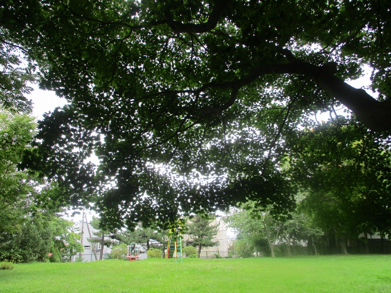 f0202703_2285688.jpg