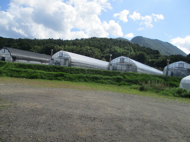 f0202703_2294875.jpg