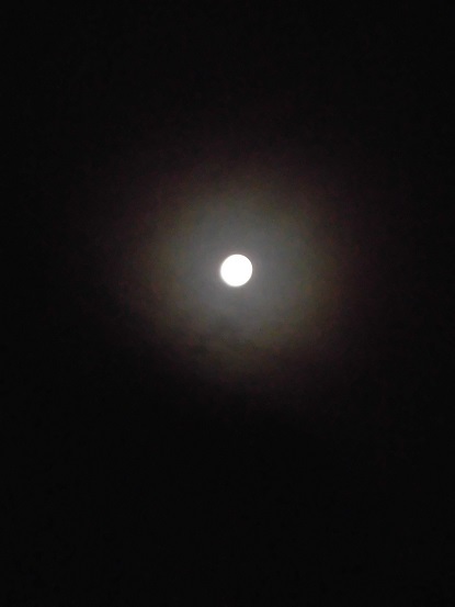 e0078404_10391961.jpg