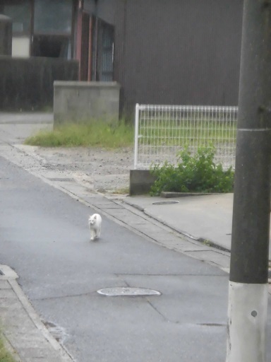 e0078404_15574351.jpg